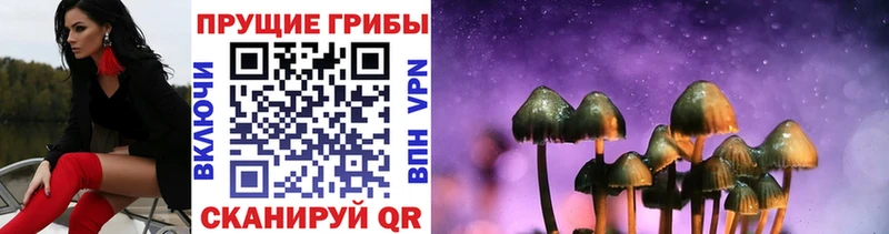Псилоцибиновые грибы мицелий  blacksprut зеркало  Шагонар 